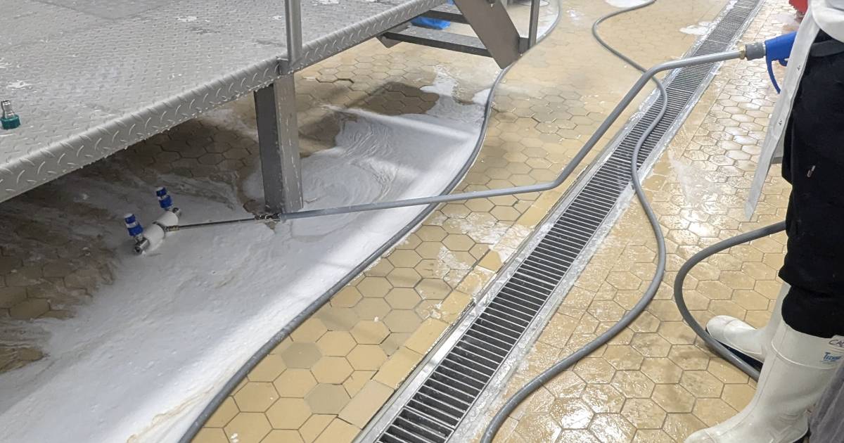 Lance Rouller Arcus Roller Washdown Lance | Arcus Cleaning Systems